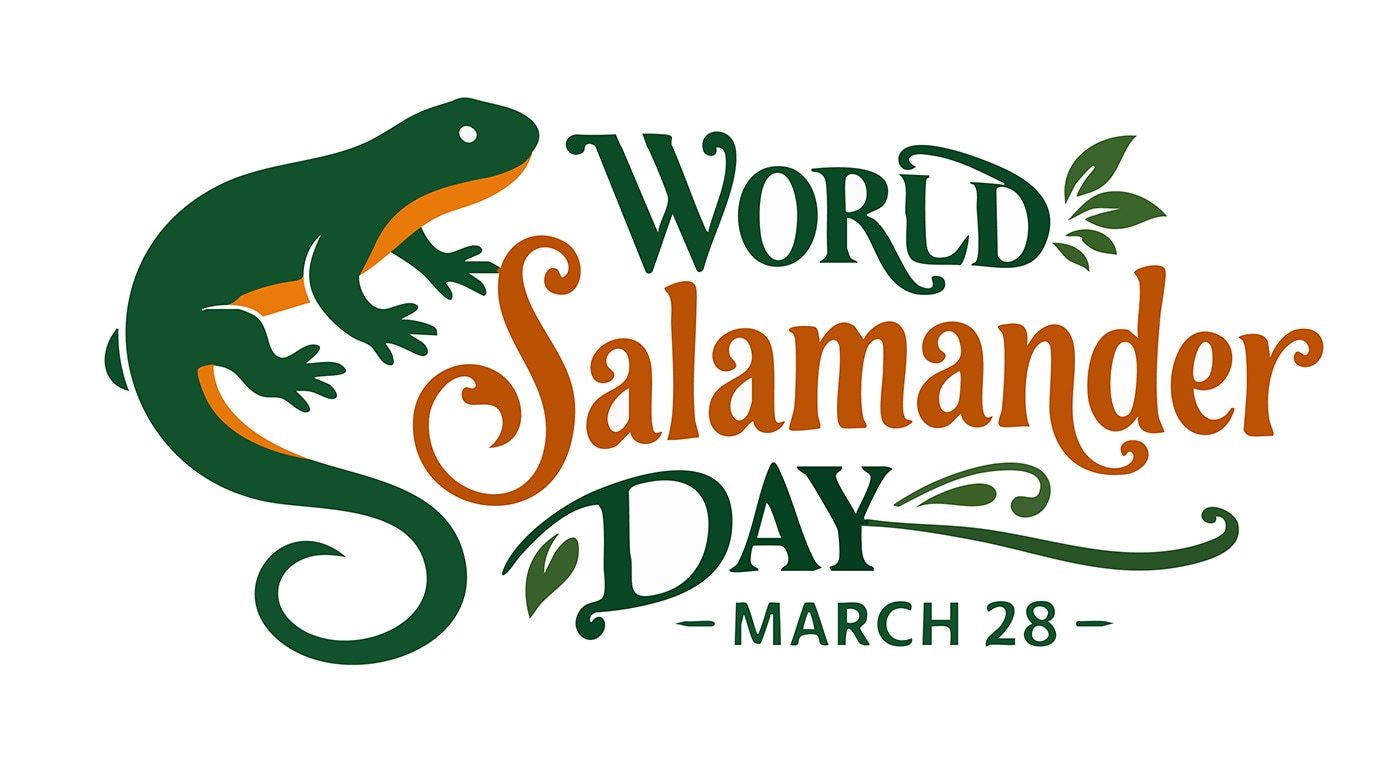 World Salamander Day Logo