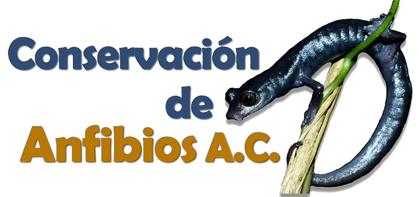 Anfibios puebla logo